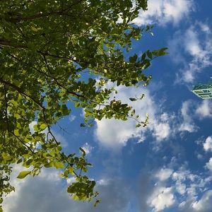 Meet your Posher, Dylan